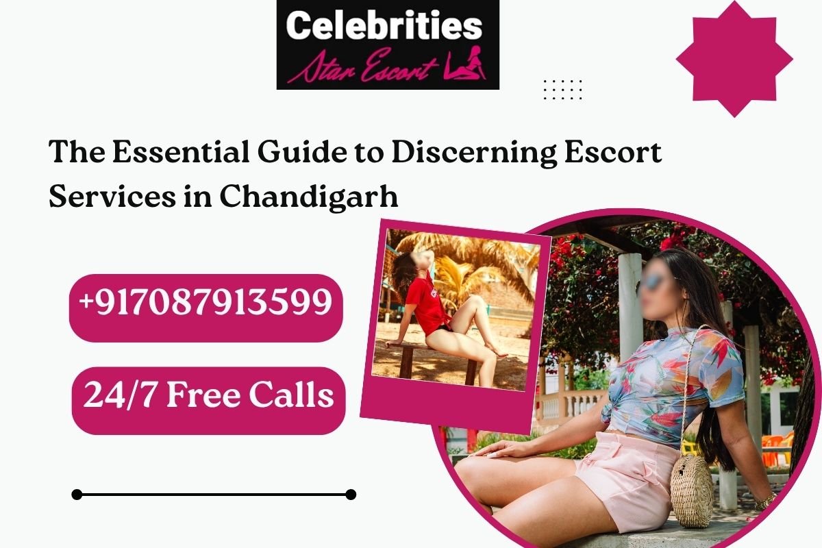 Escort Services in Chandigarh